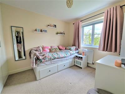 Picture 20